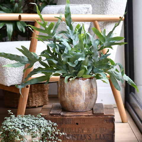 Suus Latte Ceramic Pot 16cm – Warm Reactive Glaze Planter