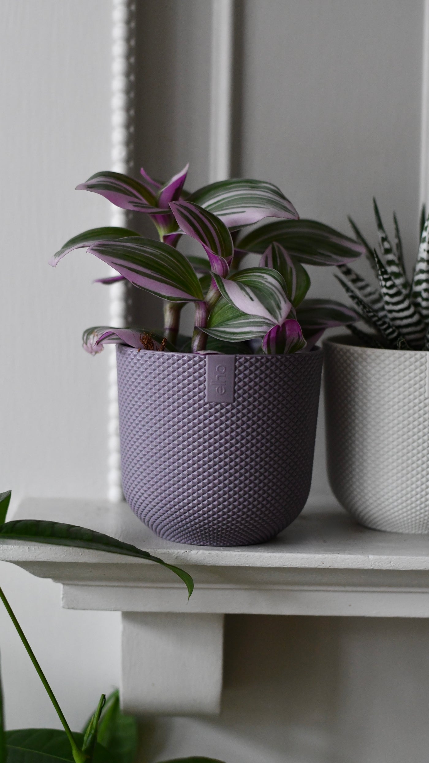 Mini Lavender Lilac Indoor Plant Pot – 9cm Round Recycled Plastic Planter