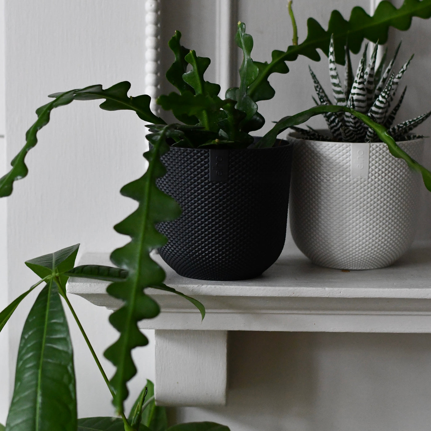 Mini Living Black Indoor Plant Pot – 9cm Recycled Plastic Planter