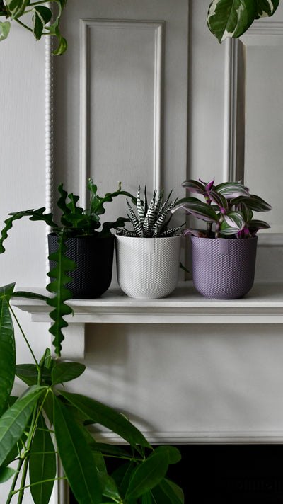 Mini Silky White Indoor Plant Pot – 9cm Recycled Plastic Planter