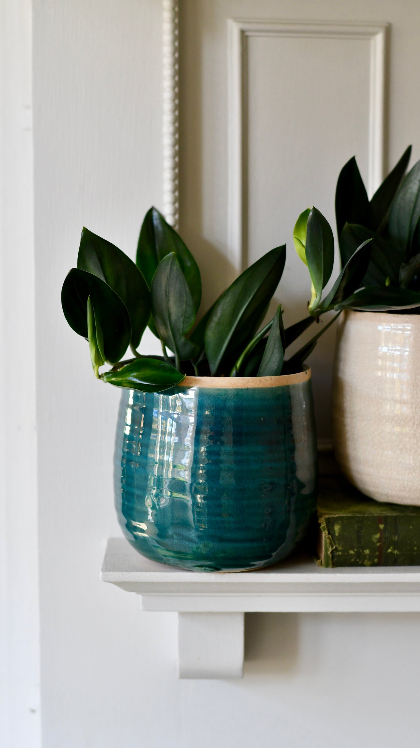 Como Turquoise premium Glaze planter (12cm plant pot)