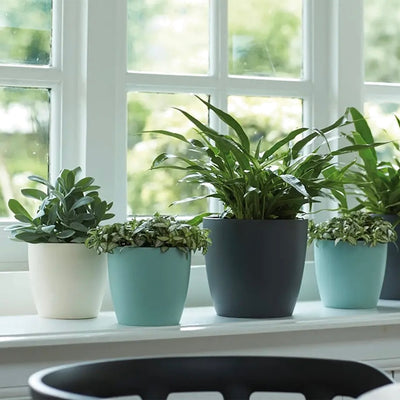 Brussels Round Mini Plant Pot 9.5cm