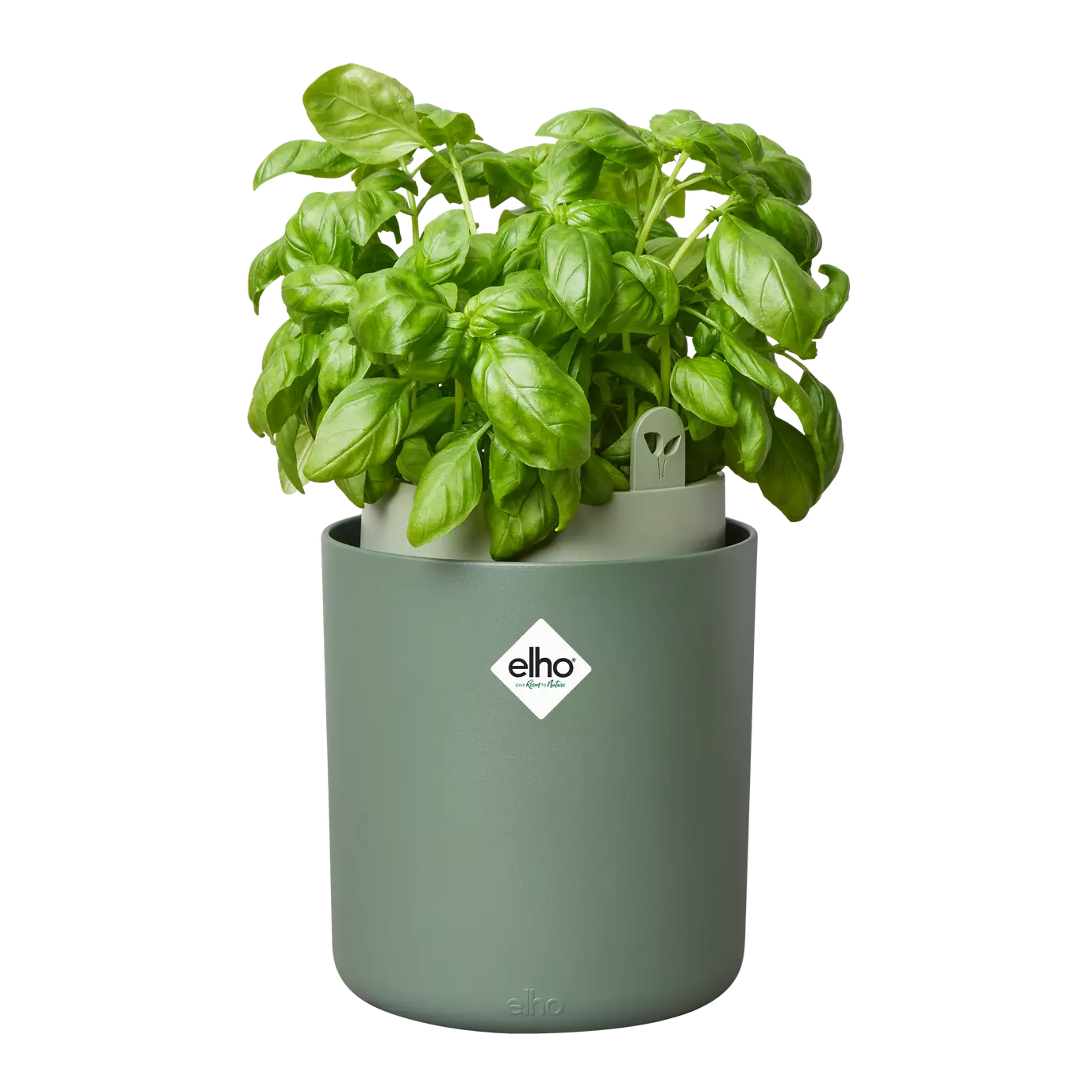Bouncy Basil Grow Pot Leaf Green 17cm