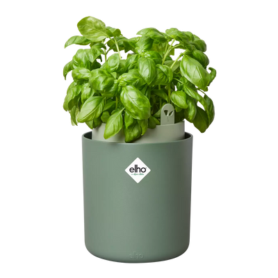 Bouncy Basil Grow Pot Leaf Green 17cm