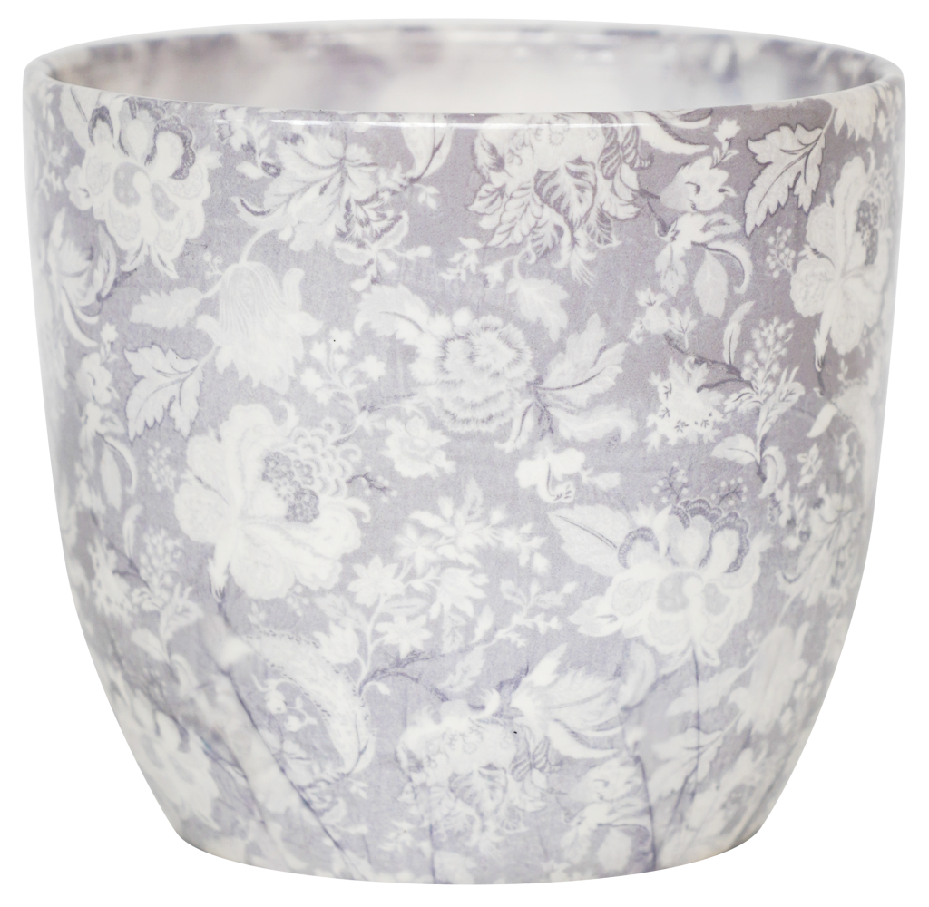 Stephanotis floribunda & Monza Planter