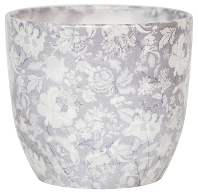 Stephanotis floribunda & Monza Planter