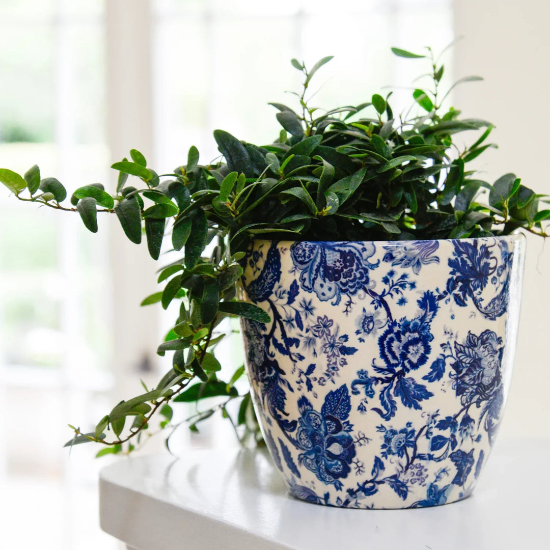 vintage indoor plant pots uk Bohemian Monza Planter | Indoor Plant Pots
