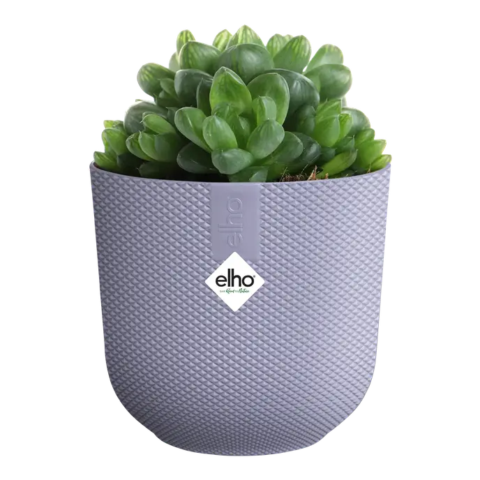 Mini Lavender Lilac Indoor Plant Pot – 9cm Round Recycled Plastic Planter
