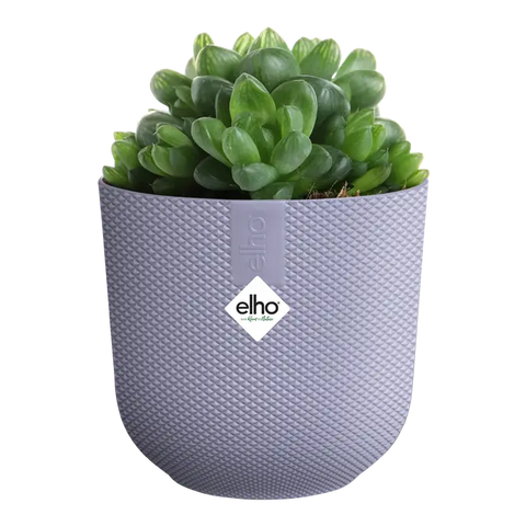 Mini Lavender Lilac Indoor Plant Pot – 9cm Round Recycled Plastic Planter