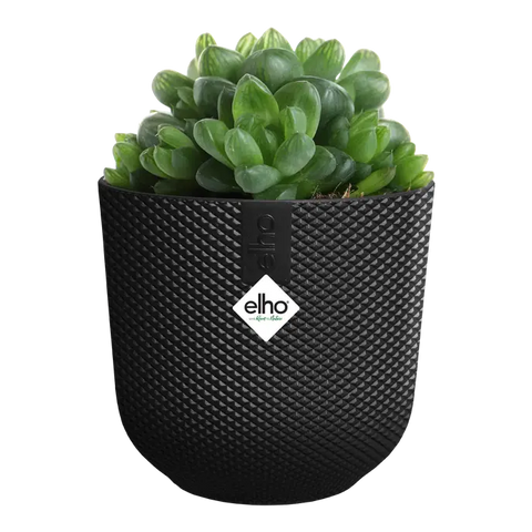 Mini Living Black Indoor Plant Pot – 9cm Recycled Plastic Planter