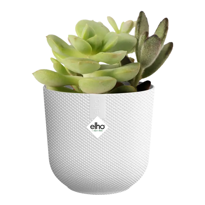 Mini Silky White Indoor Plant Pot – 9cm Recycled Plastic Planter