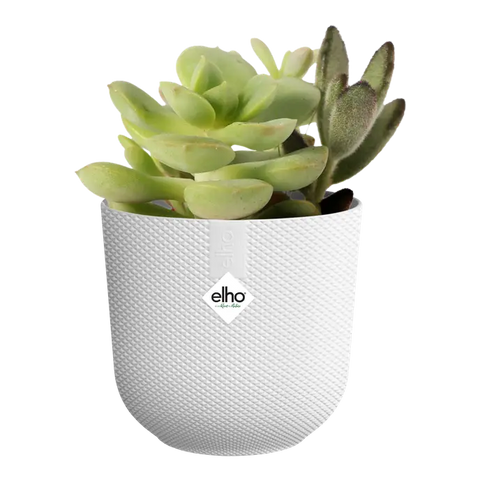 Mini Silky White Indoor Plant Pot – 9cm Recycled Plastic Planter