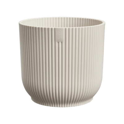 Epipremnum Global Green (Devil's Ivy) & Vibes pot