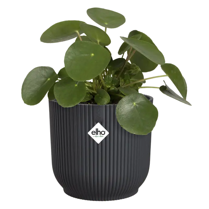 Elho Vibes Fold Round Plant Pot – 18cm Anthracite