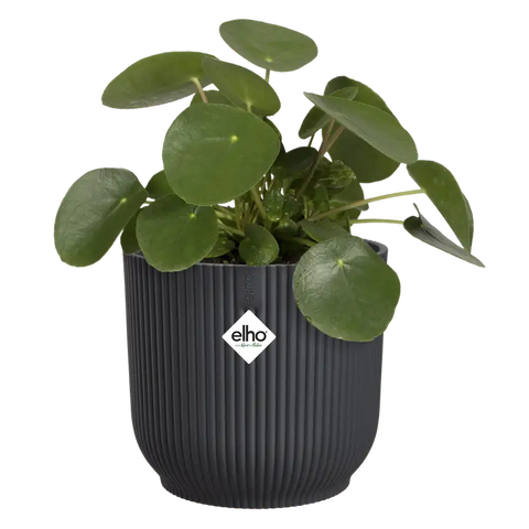Elho Vibes Fold Round Plant Pot – 18cm Anthracite