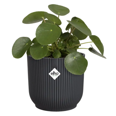 Elho Vibes Fold Round Plant Pot – 16cm Anthracite