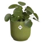 Elho Vibes Fold Round Plant Pot – 16cm Fern Green