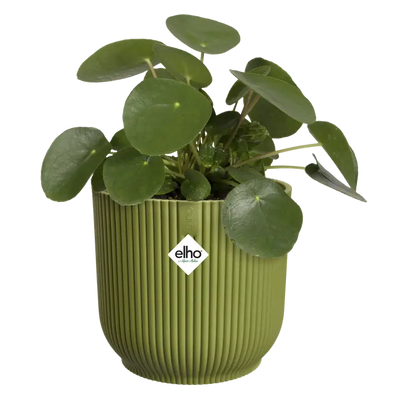 Elho Vibes Fold Round Plant Pot – 18cm Fern Green
