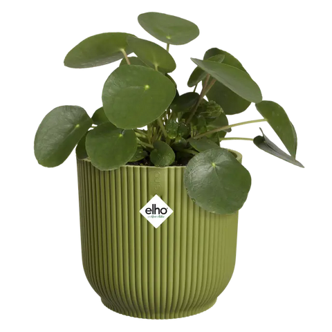 Elho Vibes Fold Round Plant Pot – 18cm Fern Green