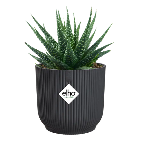 Anthracite Grey Vibes Round Plant Mini Plant Pot 7cm