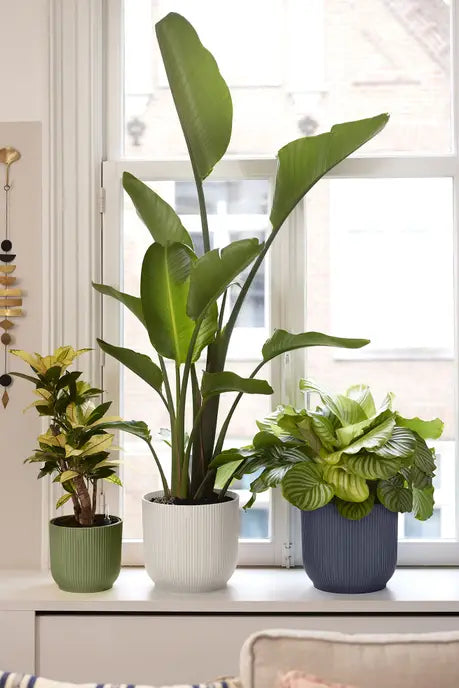 Elho Vibes Fold Round Plant Pot – 18cm Fern Green
