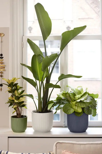 Elho Vibes Fold Round Plant Pot – 18cm Anthracite