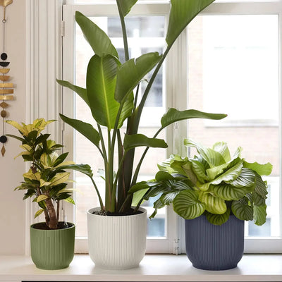 Elho Vibes Fold Round Plant Pot – 35cm Anthracite