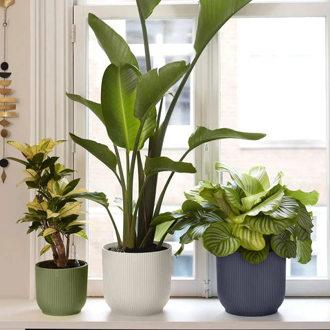 Elho Vibes Fold Round Plant Pot – 35cm Anthracite