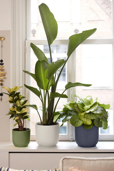 Elho Vibes Fold Round Plant Pot – 30cm Fern Green