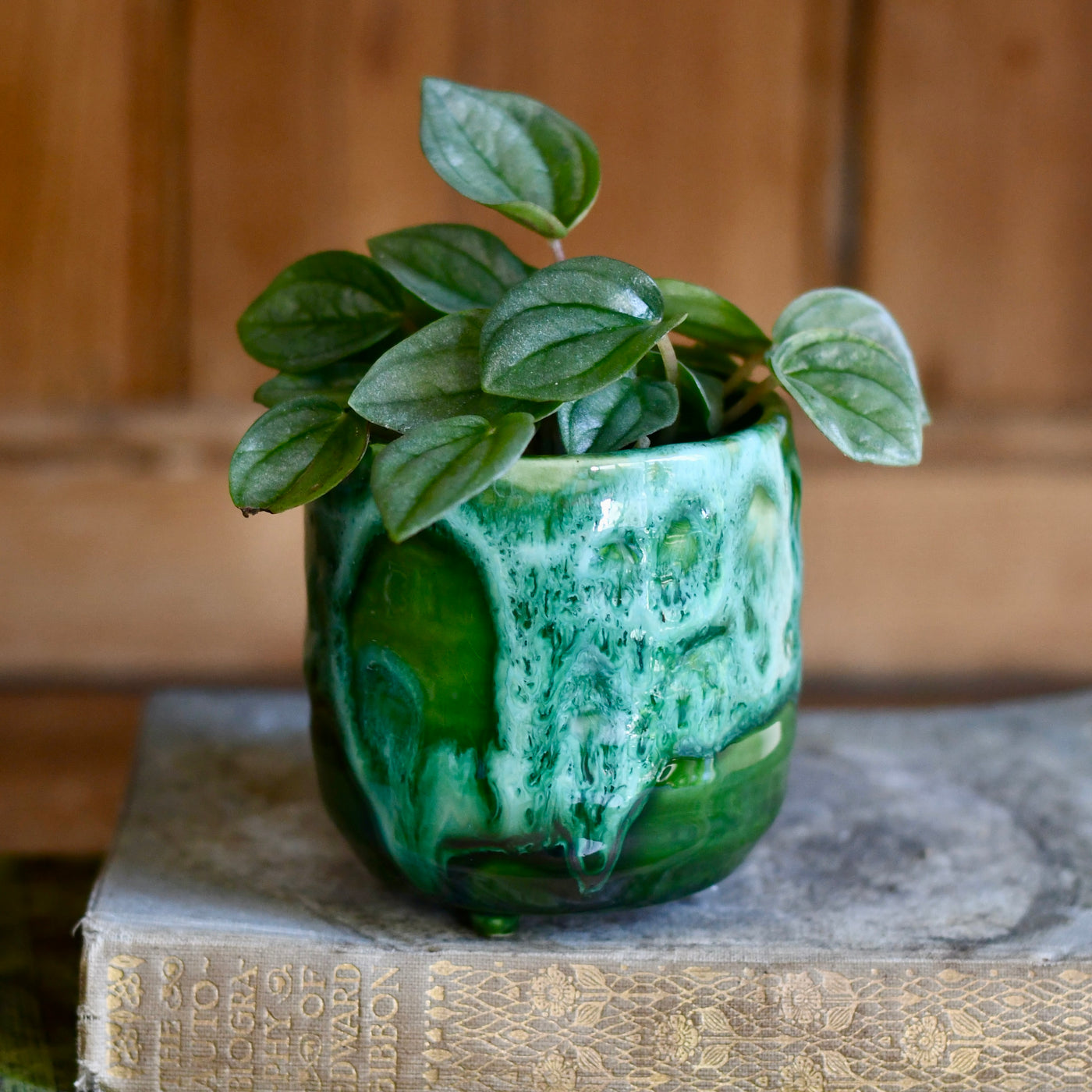 Pisa Emerald Planter | 7cm Pots | Baby plant Pots | Ceramic plot