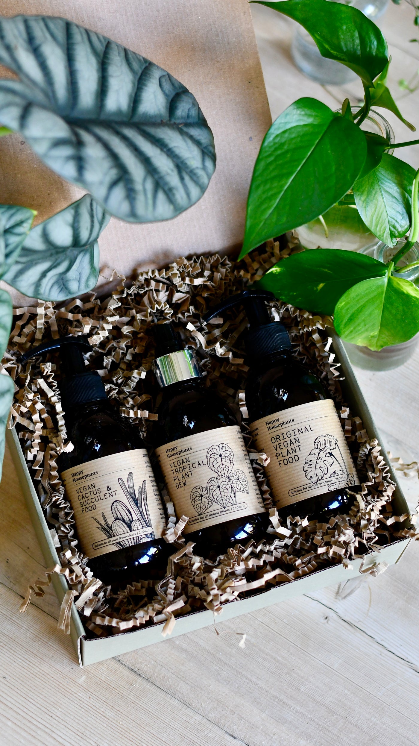 plant food for cacti and succulents Liquid Vegan Plant Food, Organic Tropical Dew Spray and Cactus Fertili – Happy Houseplants