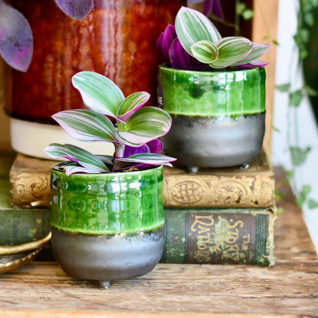 ceramic indoor plant pots uk Jade Reactive Planter with Foot (7cm Plant Pot) – Happy Houseplants