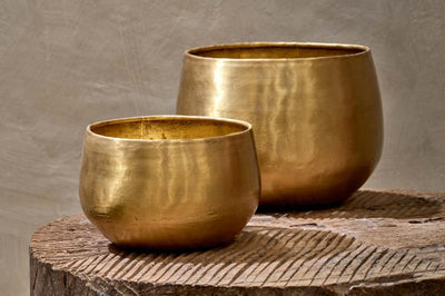 Epipremnum Happy Plant in Atsu Brass Pot