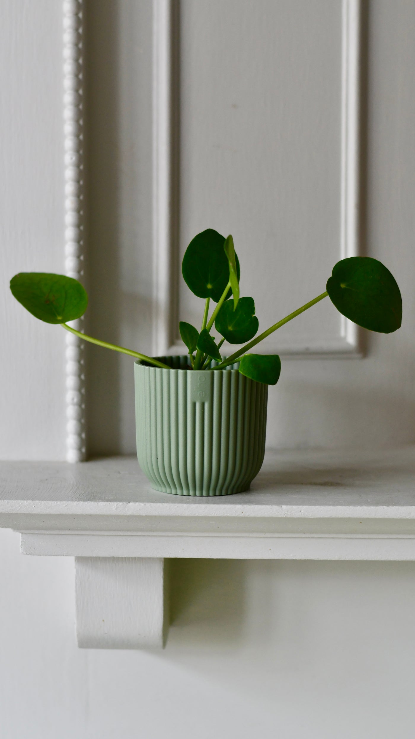 Sorbet Green Vibes Round Plant Mini Plant Pot 7cm