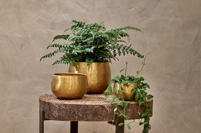 Atsu Brass Planter - small