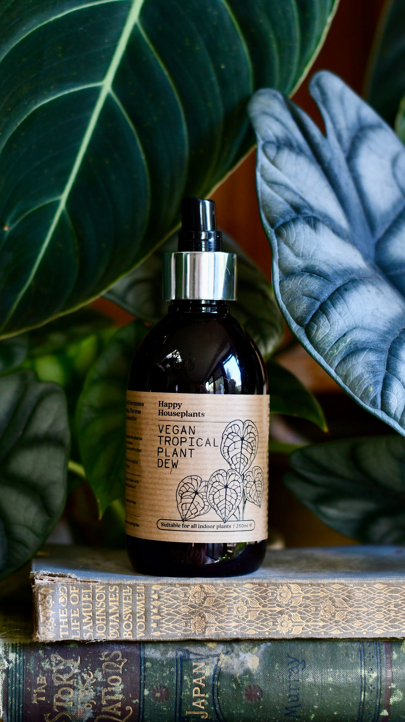 mist indoor plants Tropical Plant Dew Spray 250ml (Indoor Plant Mist, Plant Care Mist) – Happy Houseplants