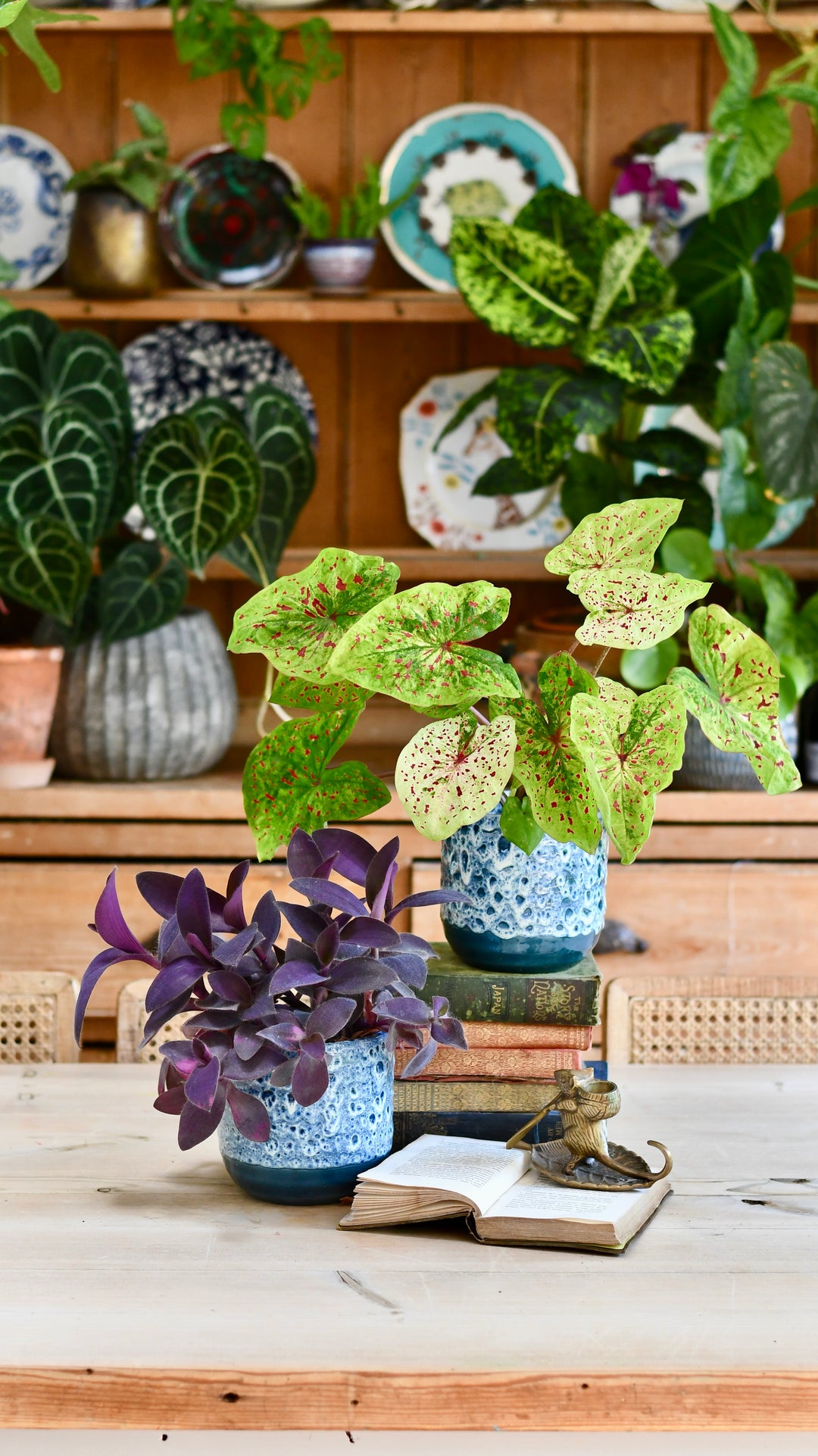 colorful pots for indoor plants Reactive Glaze Planter (Sapphire 13cm Plant Pot) – Happy Houseplants