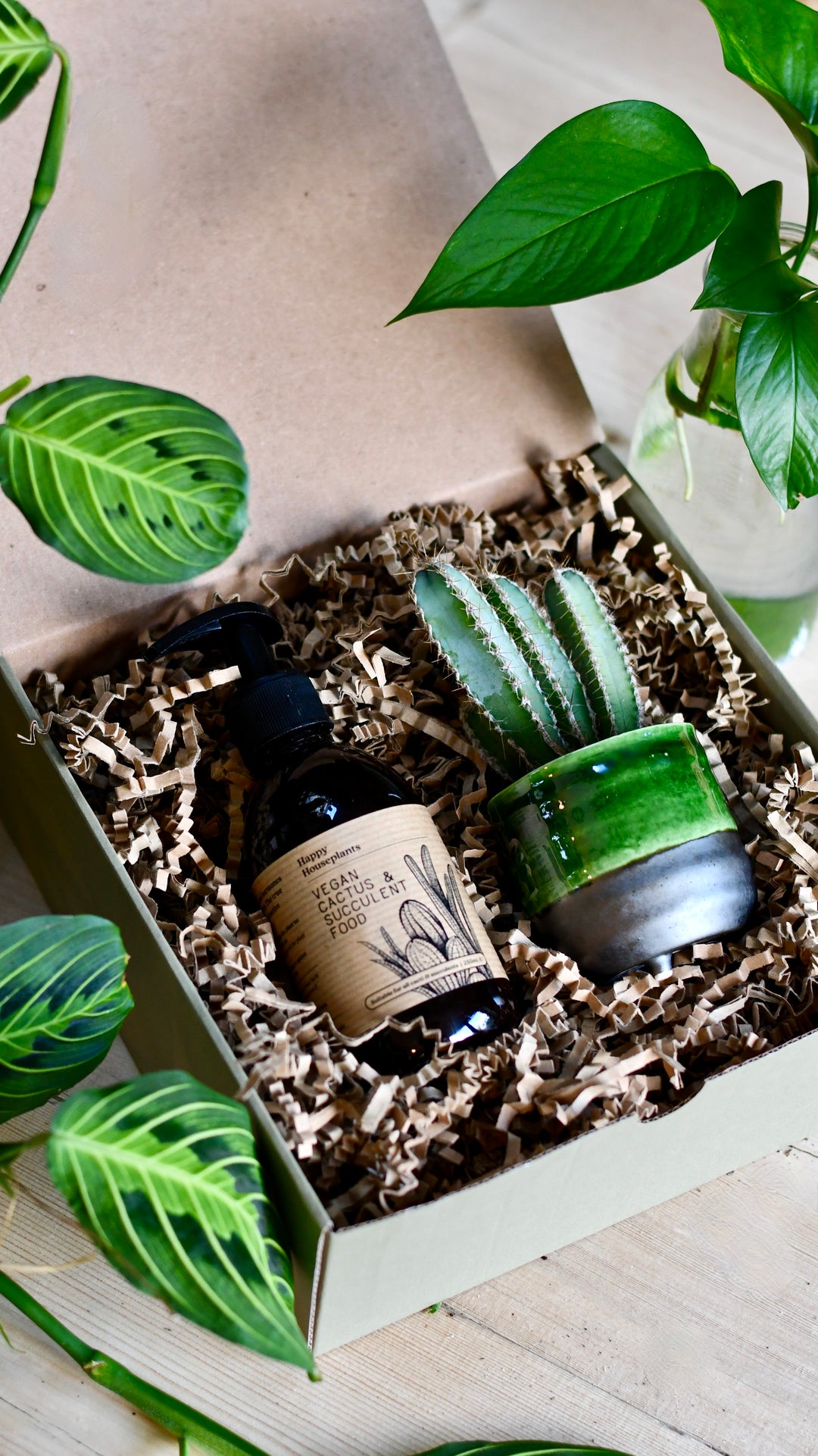succulent plant delivery uk Vegan Cactus & Succulent Food Gift Box – Happy Houseplants