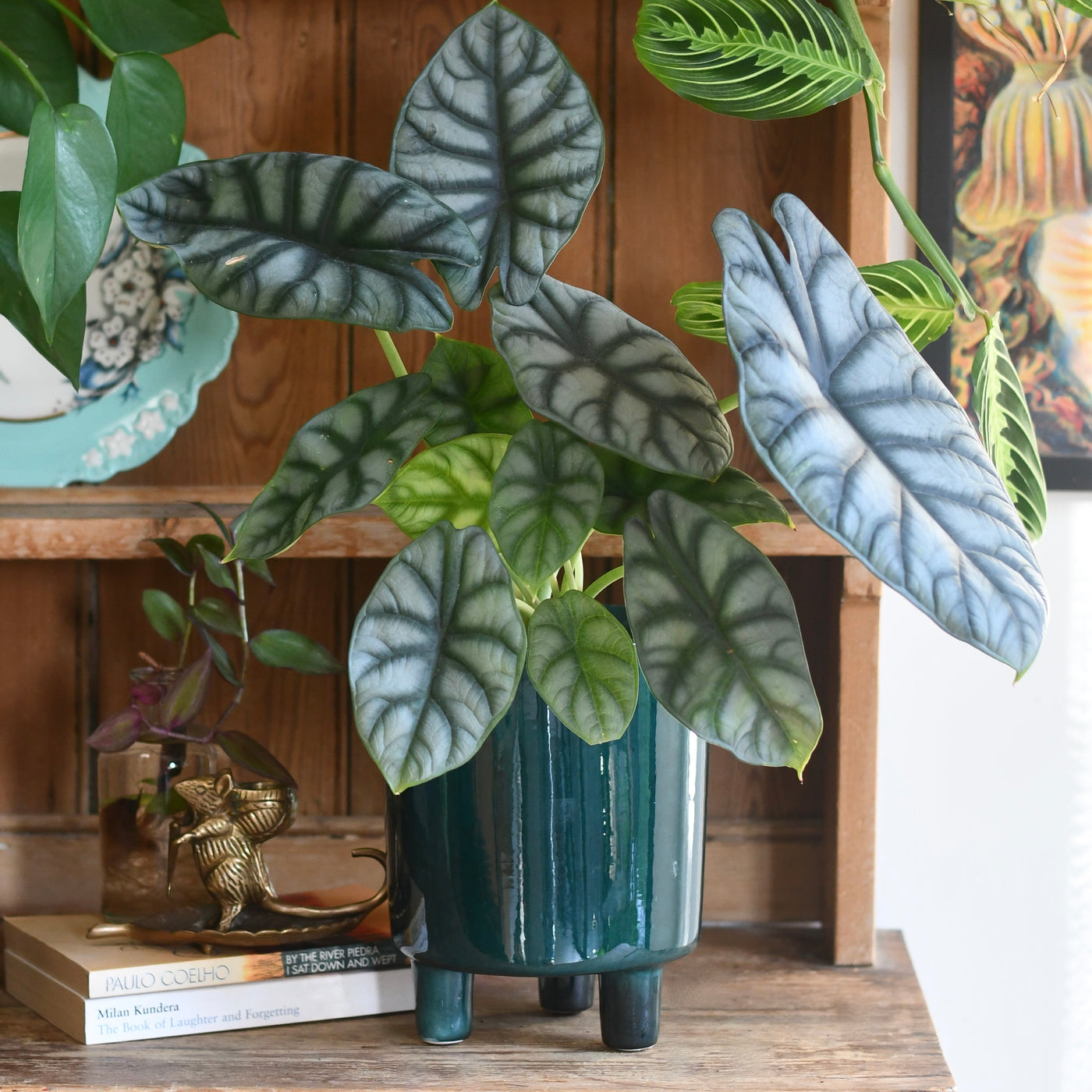 Pisa Emerald Planter | 16cm Pots | Designer pots