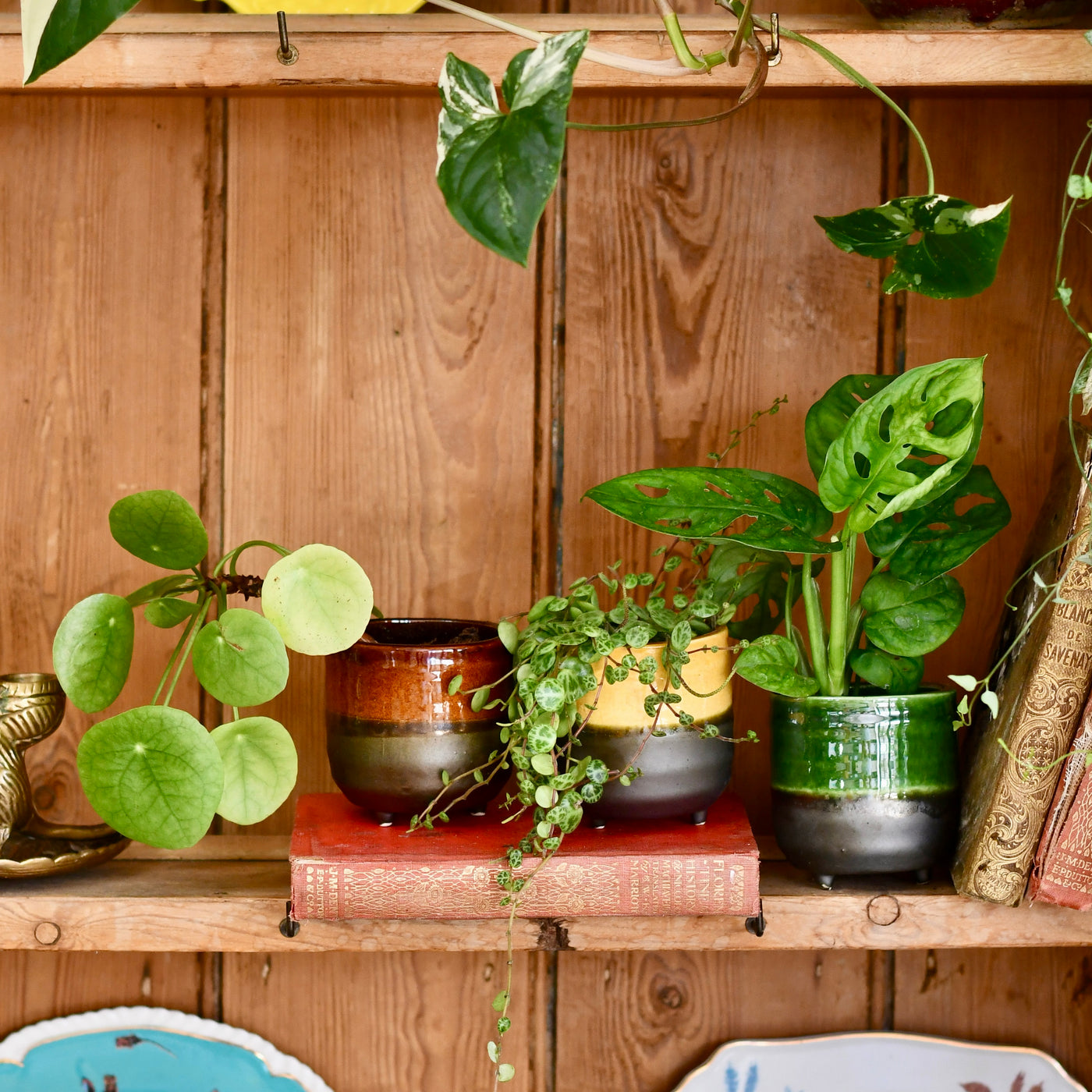 Amber Reactive Planter with Foot (7cm Plant Pot)