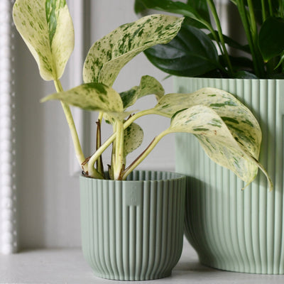 Sorbet Green Vibes Round Plant Mini Plant Pot 7cm