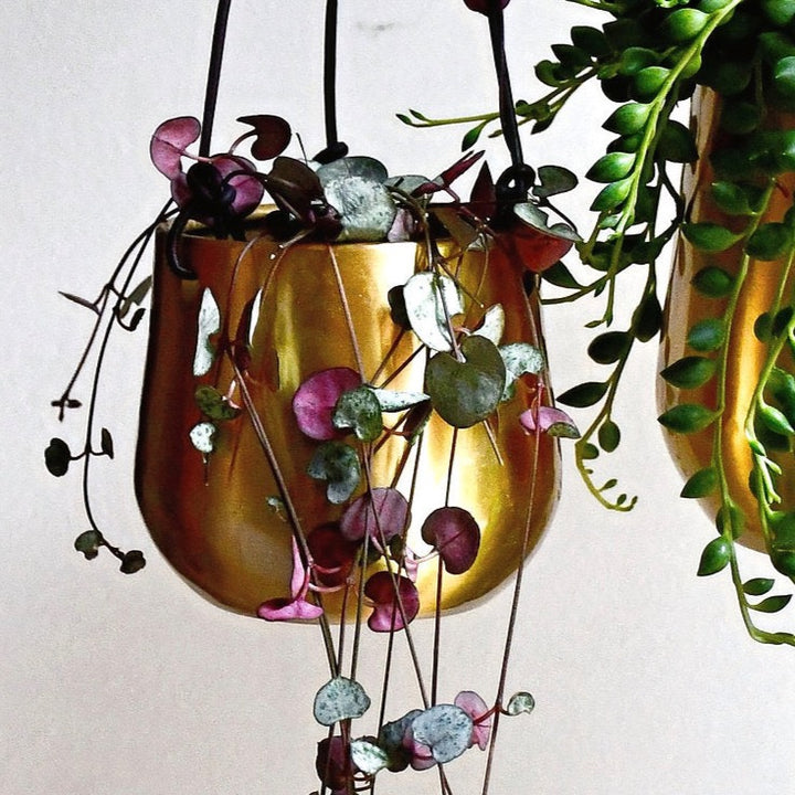 atsu brass hanging planter Atsu Brass Hanging Planter 10cm