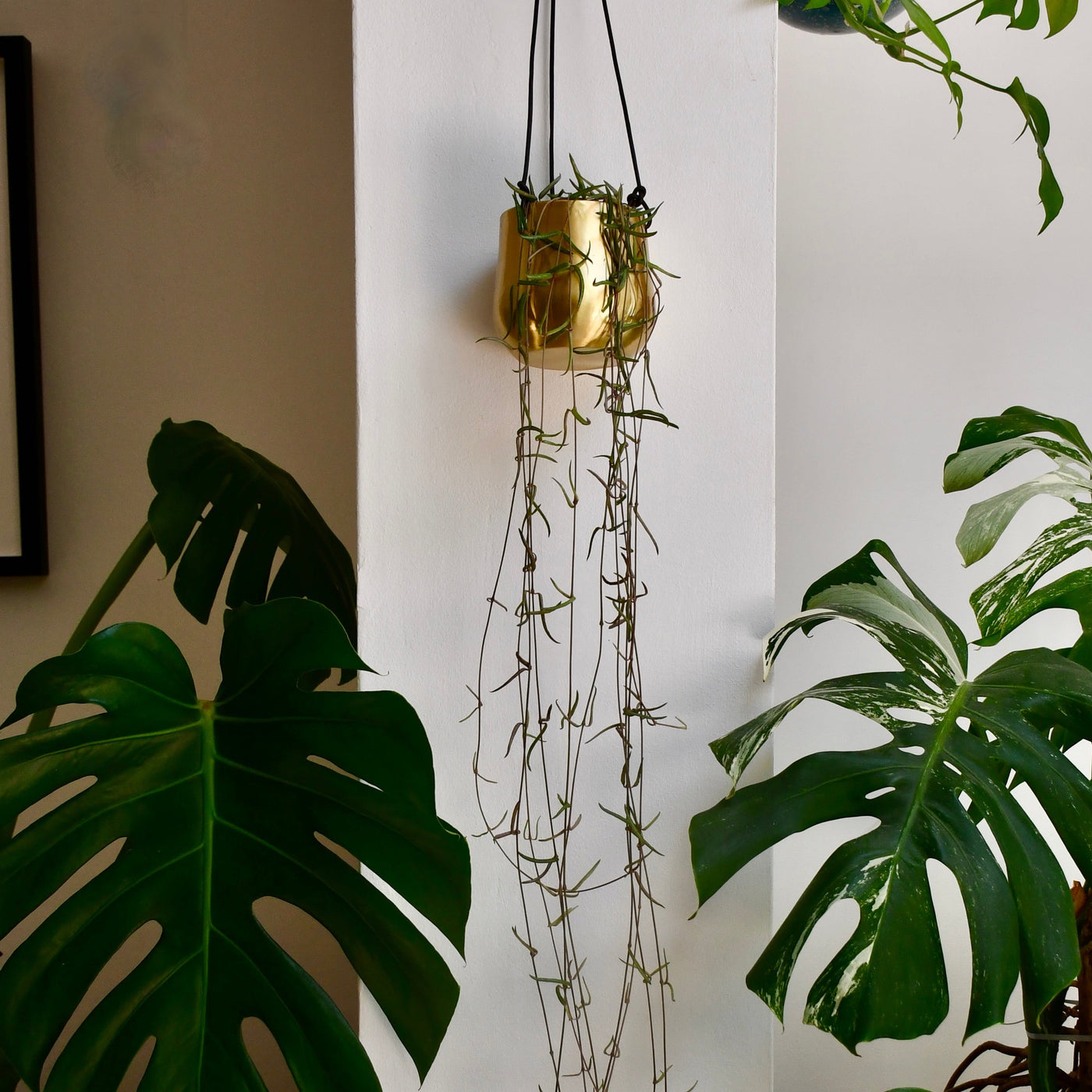 Atsu Brass Hanging Planter 10cm wide