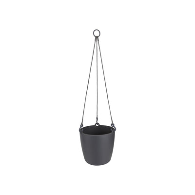 Brussels hanging basket 18cm