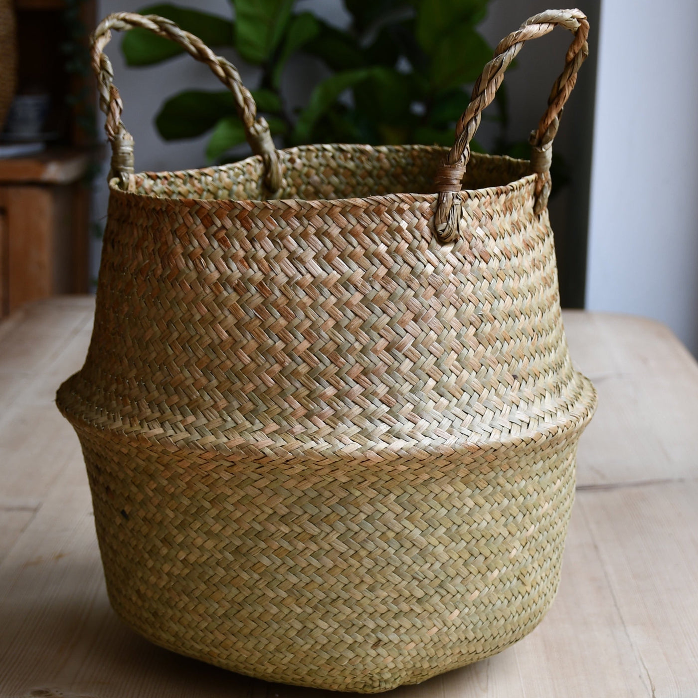 Natural Seagrass Planter