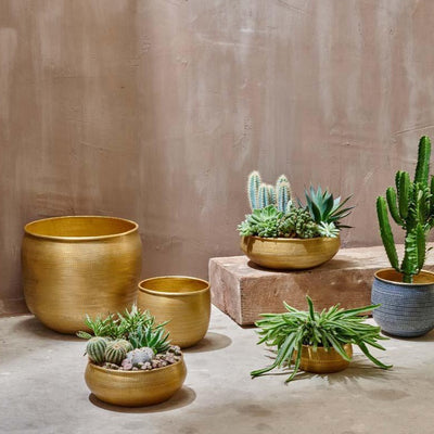 Tembesi Etched Planter Large Brass