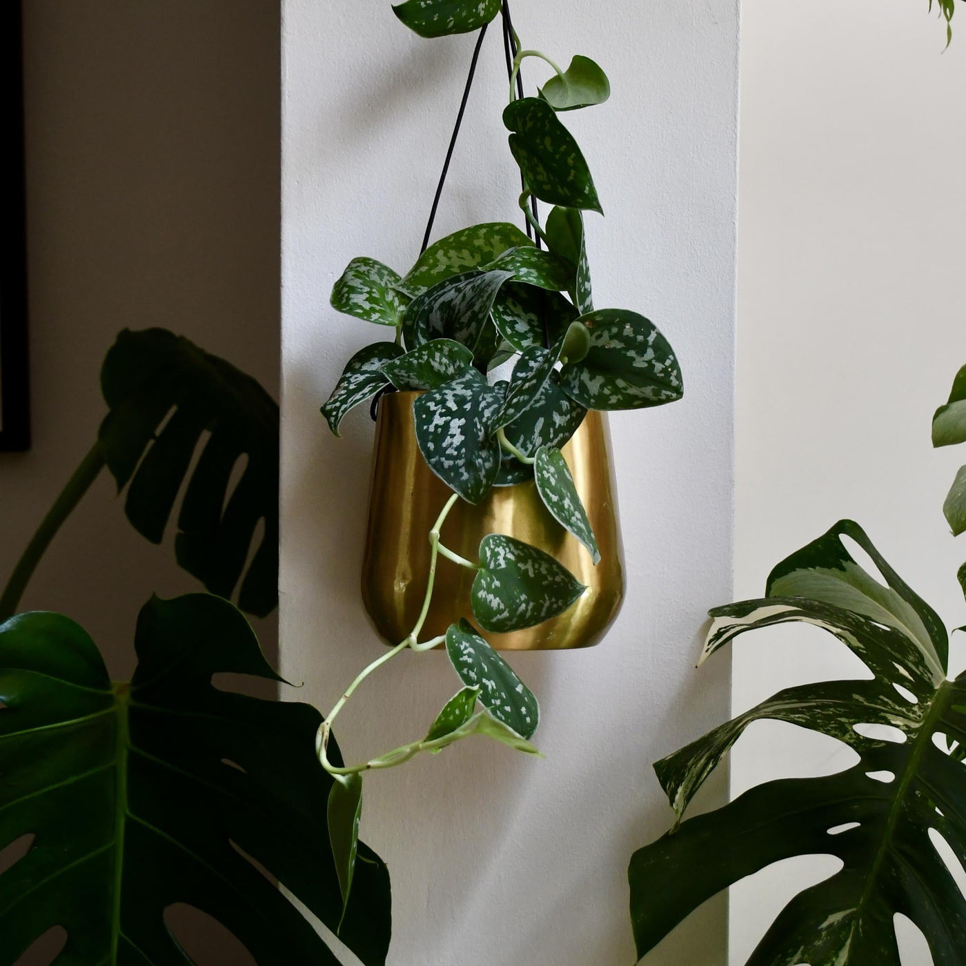 Atsu Brass Hanging Planter fits 12cm pot