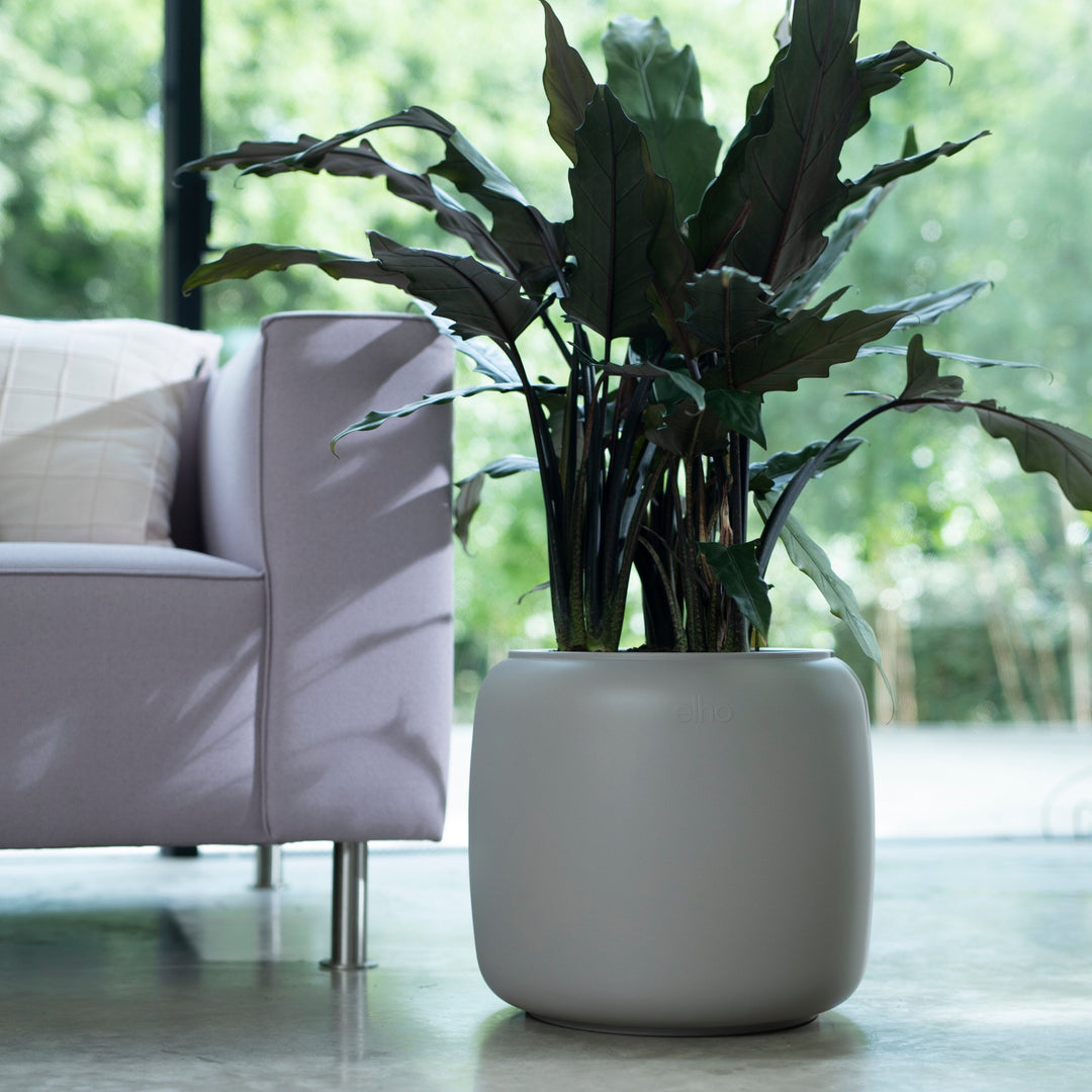 pure indoor plants PURE BEADS 40cm