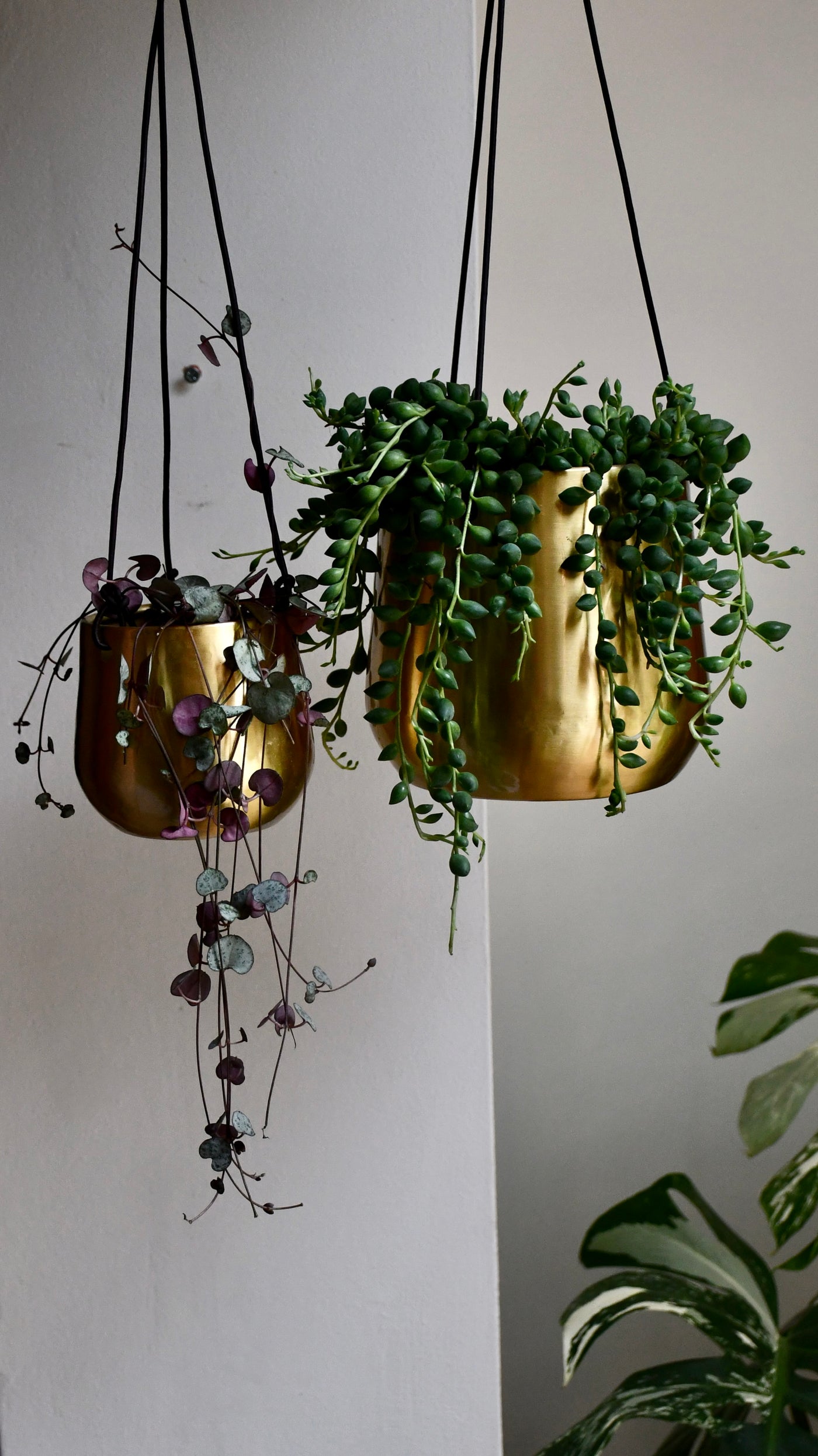 Hanging String of Hearts & Atsu Brass Hanging Planter