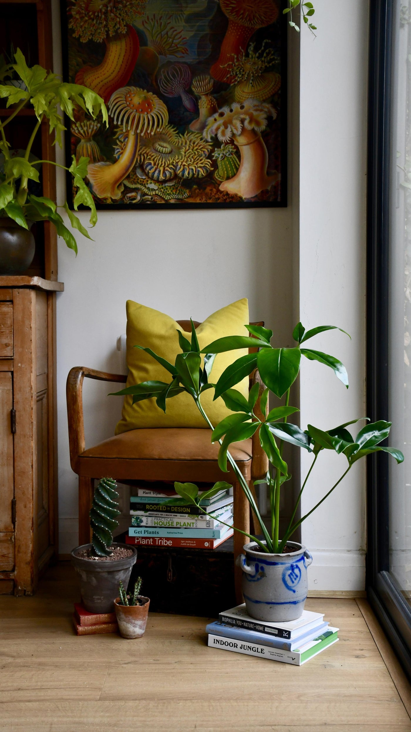 philodendron goeldii fun bun Philodendron Goeldii